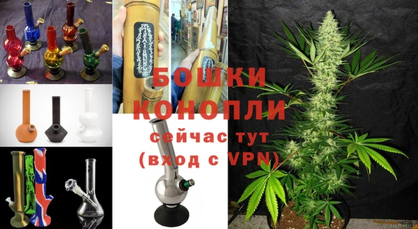 шишки Армянск