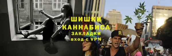 шишки Армянск