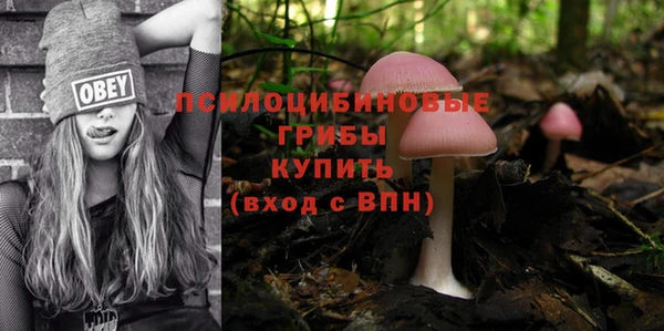 шишки Армянск