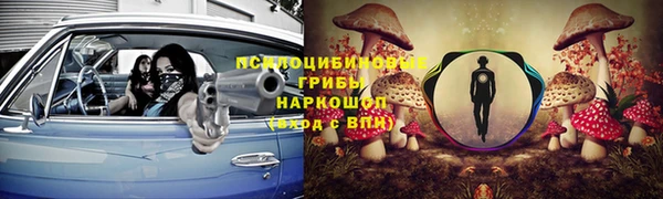 дмт Аркадак