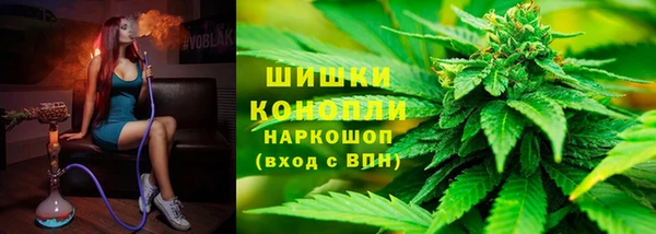 шишки Армянск