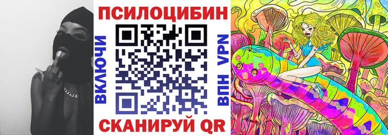 Псилоцибиновые грибы Cubensis  Нюрба 